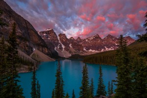 Pink Cotton Candy Moraine